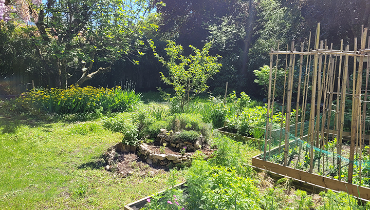 Visite d'un jardin Refuge LPO